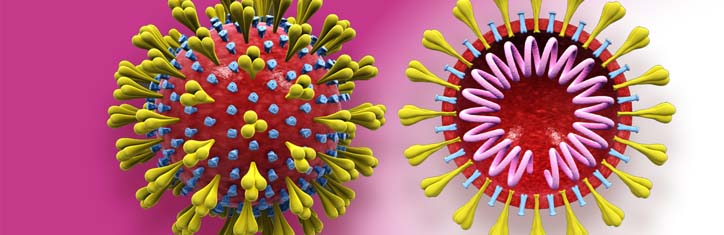 Fakten zu Viren, Körper und Impfungen