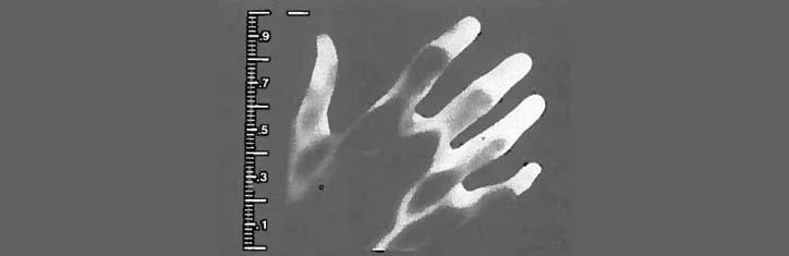 Energon-Magnet-Treatment-Foil und ihre Auswirkung auf biologische Systeme Teil 2