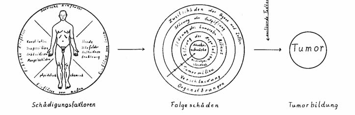 Die kombinierte Behandlung des Krebskranken