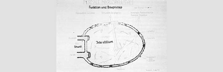 Zur Verbesserung der Mikrozirkulation