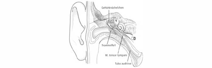 Tinnitus ist heilbar, wenn man die Ursachen kennt