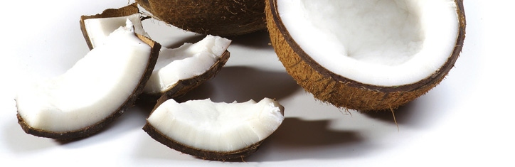 Kokos – das gesündeste Fett